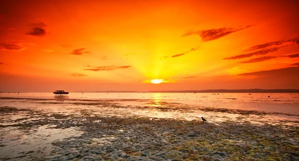 Lago Balaton com um pôr do sol muito agradável — Fotografia de Stock