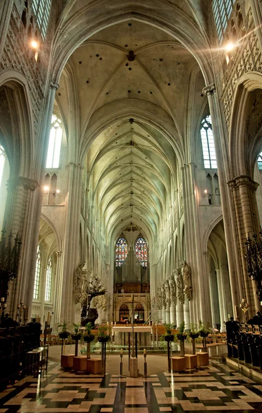 Interior of the famous cathedral — Stock Photo, Image