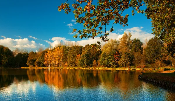 Schöne herbstliche Szene — Stockfoto