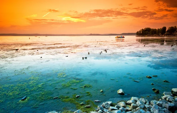 Lac Balaton avec un très beau coucher de soleil — Photo