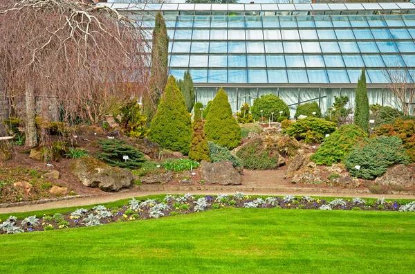 Nice park with trees and flowers — Stock Photo, Image