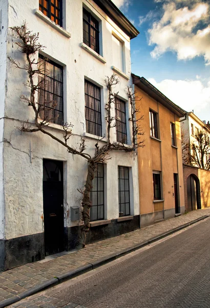 Casas agradáveis em Brugge — Fotografia de Stock