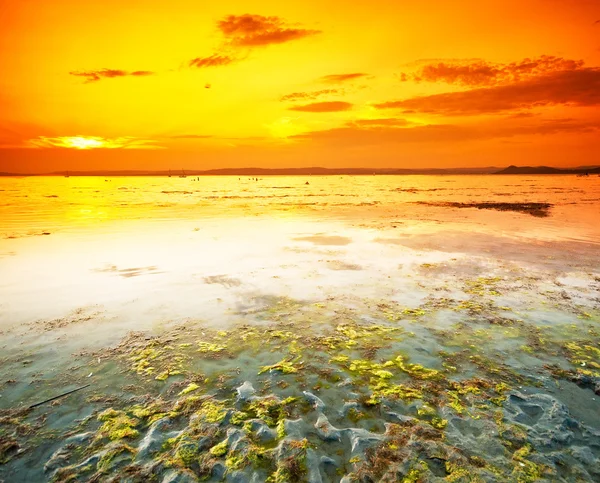 Çok güzel bir gün batımı ile balaton Gölü — Stok fotoğraf