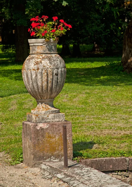 Fiori nel parco — Foto Stock