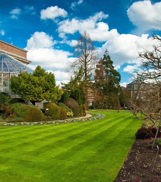 Schöner Park mit Bäumen und Blumen — Stockfoto