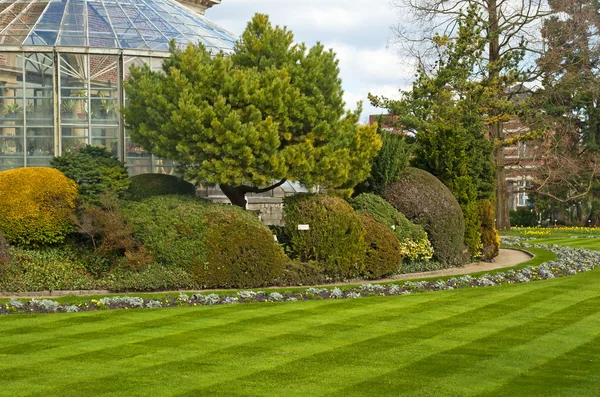 Piękny park z kwiatami — Zdjęcie stockowe