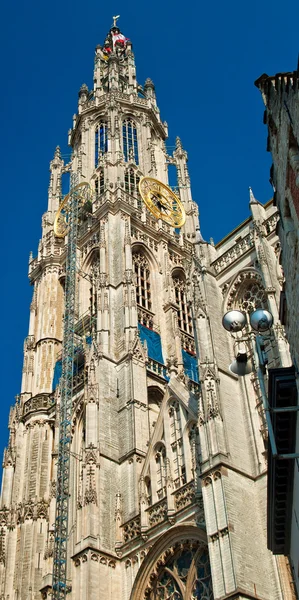 Onze Lieve-Vrouwekathedraal — Stockfoto