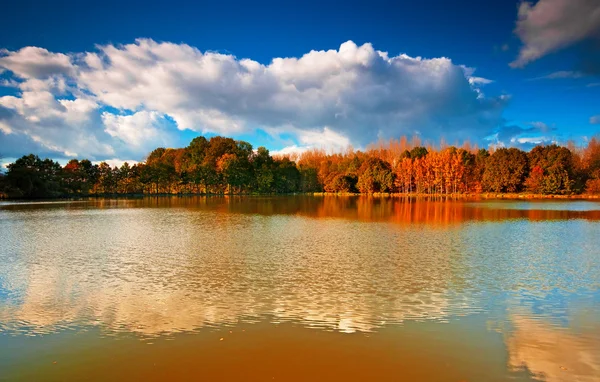 巴拉顿湖与漂亮的云彩 — 图库照片