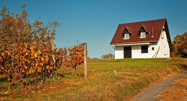 Sonbaharın kırsal ev — Stok fotoğraf