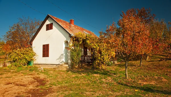 Rural house in autumn — Stock Photo, Image