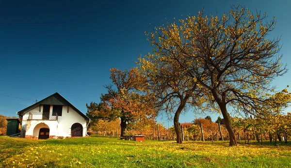 Vakantiehuis in de herfst — Stockfoto