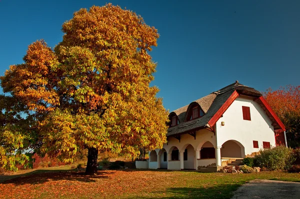 Lantligt hus under hösten — Stockfoto