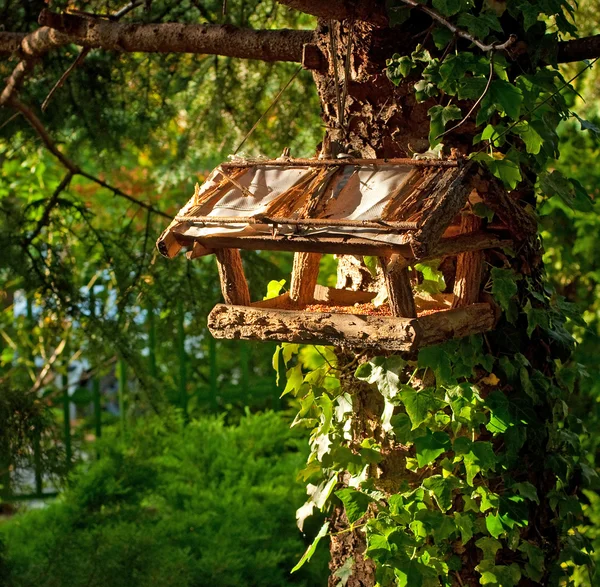 木の鳥の古い家 — ストック写真