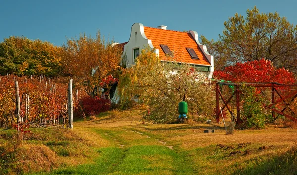 Rural house in autumn — Stock Photo, Image