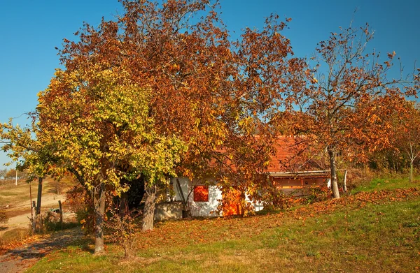 Lantligt hus under hösten — Stockfoto