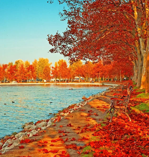 Podzimní scény s jezerem — Stock fotografie