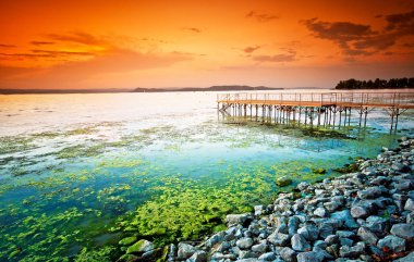 çok güzel bir gün batımı ile balaton Gölü