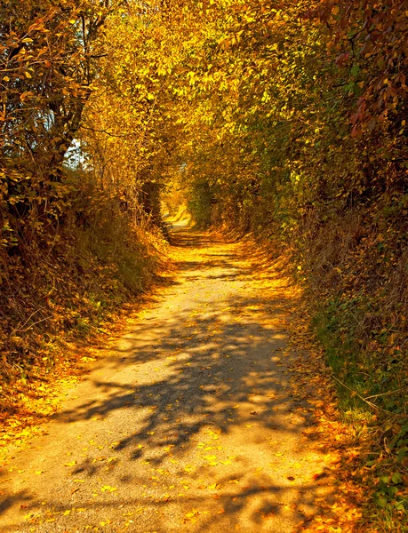 Straße mit Laub im Herbst — Stockfoto