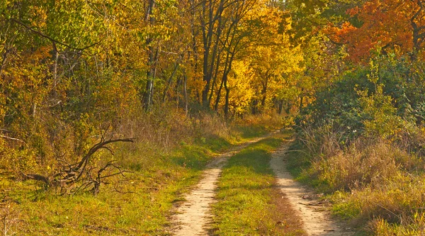 Nice pathway — Stock Photo, Image