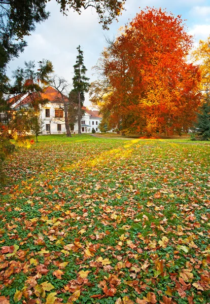 Wiejski dom — Zdjęcie stockowe