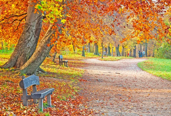 Carretera con hojas en otoño — Foto de Stock