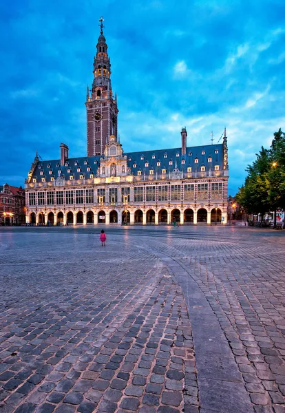 Bibliothèque universitaire — Photo