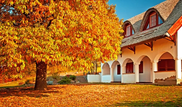 Venkovský dům na podzim — Stock fotografie