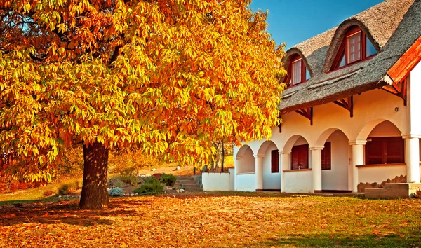 Maison rurale en automne — Photo