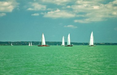 balaton Gölü üzerinde beyaz yelkenli