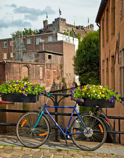 Nice canal with houses — Stock Photo, Image