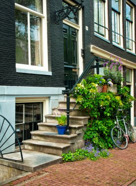 Amsterdam Sokakları