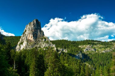 Kanyonu ziyaret eden turistler