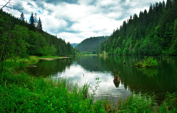 Ładne jezioro krajobraz lato — Zdjęcie stockowe