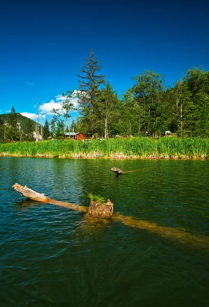 Red lake in summer — Stock Photo, Image