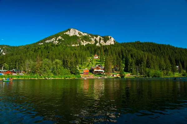 Göl heviz Macaristan