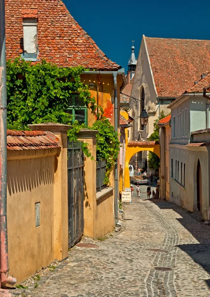 Bonitas casas en el casco antiguo de Sighioara — Foto de Stock