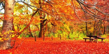 güzel sonbahar sahne