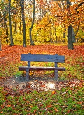 güzel sonbahar sahne