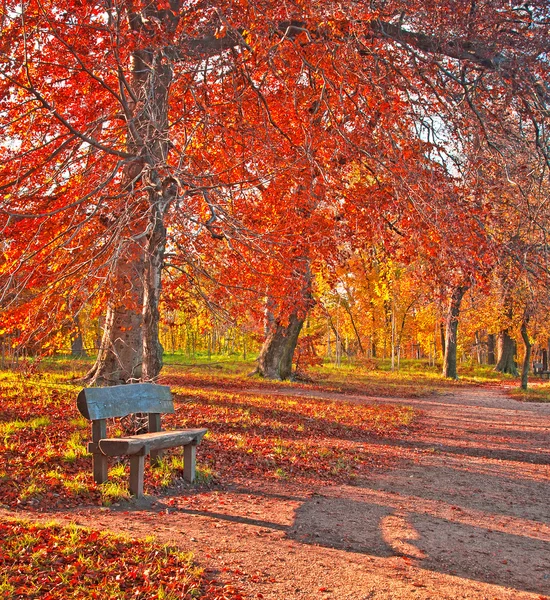 Pěkný podzimní scéna — Stock fotografie