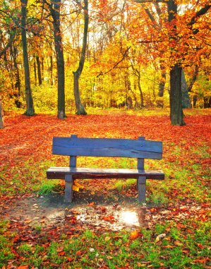 güzel sonbahar sahne