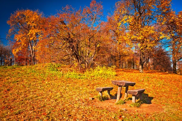 Pěkný podzimní scéna — Stock fotografie