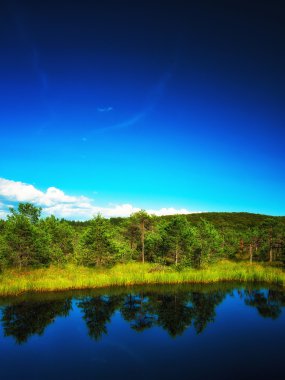 güzel bir göl manzara yaz
