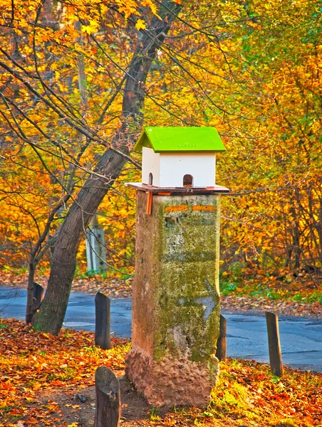 Alimentador de aves en el parque de otoño — Foto de Stock