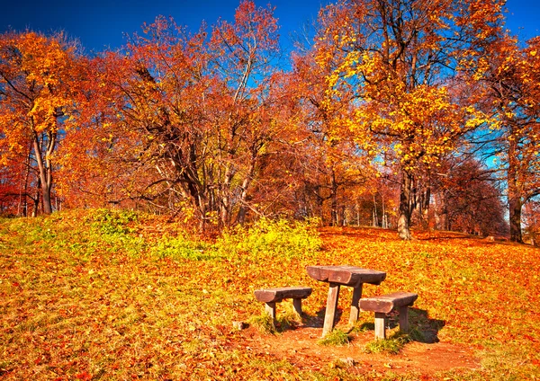 Podzimní scéna — Stock fotografie