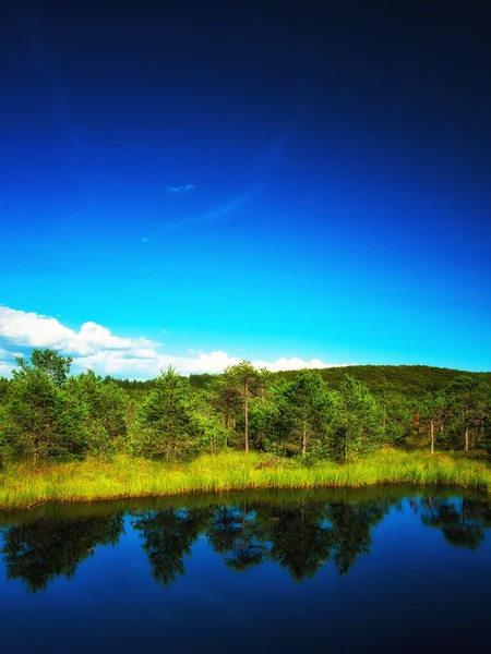 Sommerlandschaft eines schönen Sees — Stockfoto