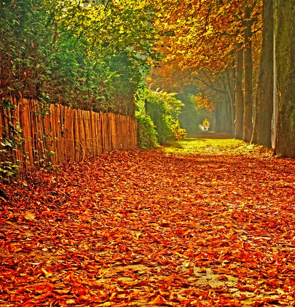 Herbstliche Szenerie — Stockfoto