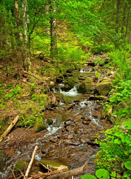 Skogsvattenfall — Stockfoto