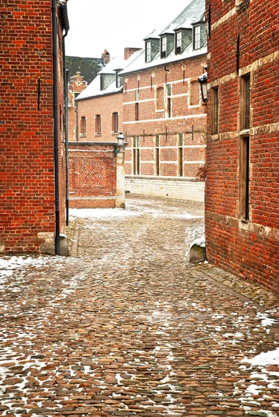 Old town leuven — Stok fotoğraf