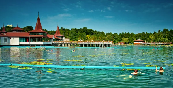 Göl heviz Macaristan