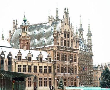 Leuven, Belçika kışın eski Kütüphane